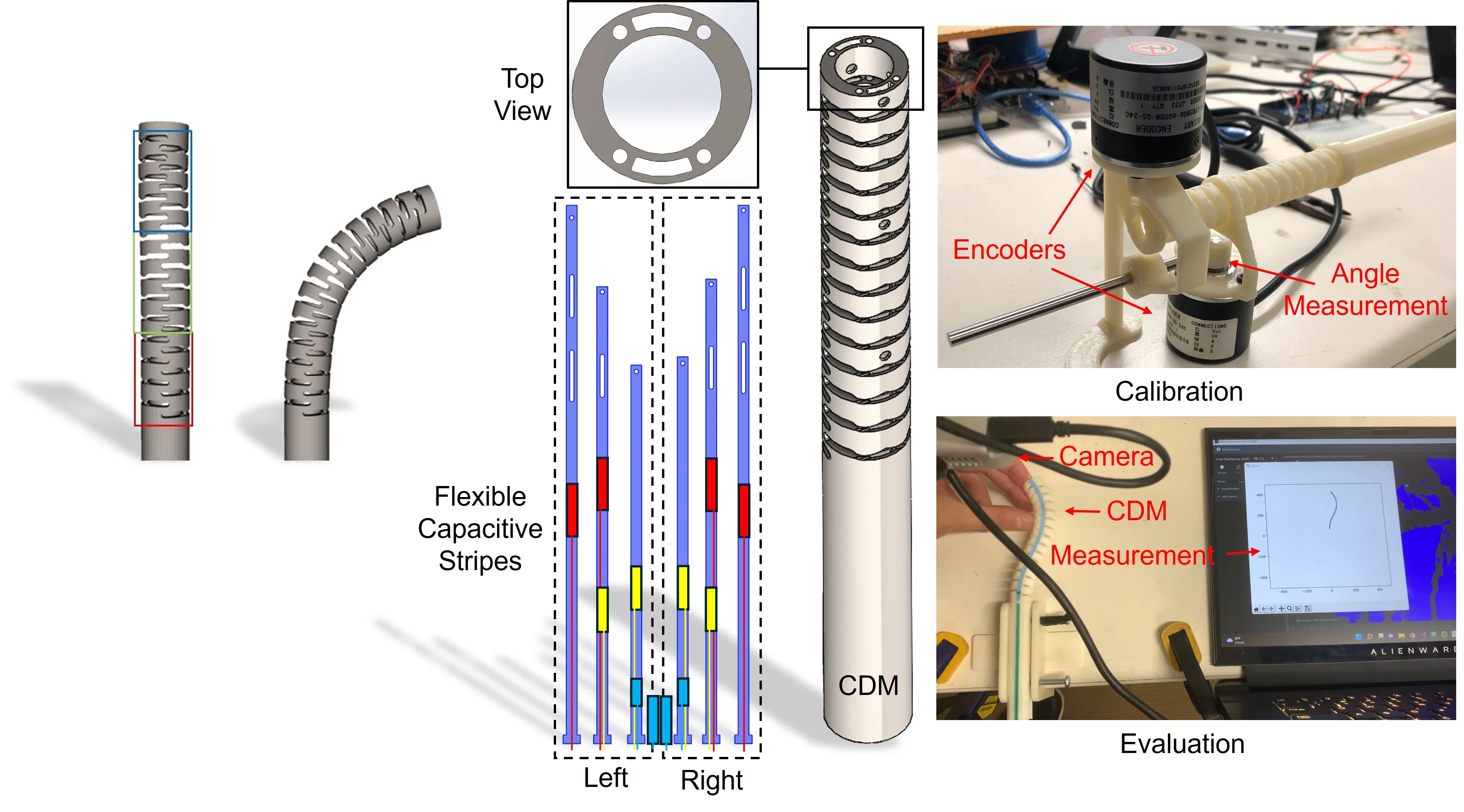 Embedded Capacitive Sensing for Continuum Dexterous Manipulators